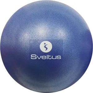 P.E. Soccer Ball   Sveltus image-0