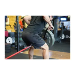 Ziehgriff training Sveltus T-bar core image-4