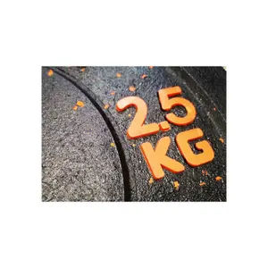 Olimpijski krążek odbojowy Sveltus 2,5 kg image-1