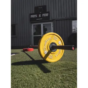 Montaggio della barra a T Sveltus Landmine image-1