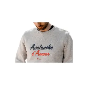 product/s/w/sw-avalanche-grey_2.jpg