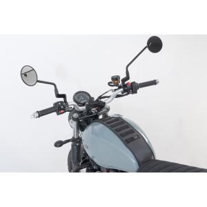 Correa de depósito SW-Motech Legend Gear SLA Triumph image-2