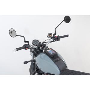 Correa de depósito SW-Motech Legend Gear SLA Triumph image-4