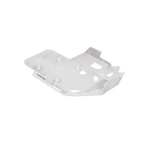 Proteção do motor SW-Motech BMW image-0