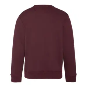 Sweatshirt logo contour Schott RDC image-1