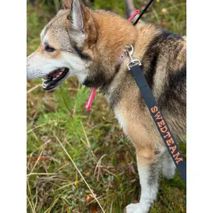 Smycz dla psa Swedteam image-1