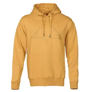 Sudadera con capucha Swedteam Ultra image-0