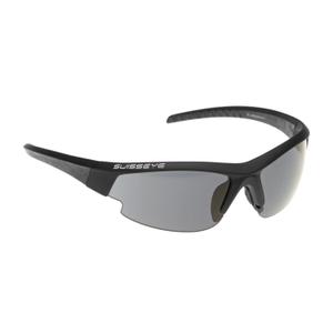 10207906000-safety-glasses-swisseye-gardosa-evolution-mp-black-one-size