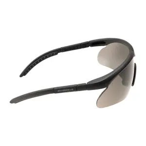 Lenti di ricambio per occhiali SwissEye Raptor image-2