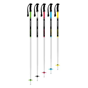 Children's ski poles Swix Rental Classic image-0