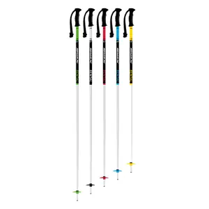 Ski poles Swix Rental Classic Pole