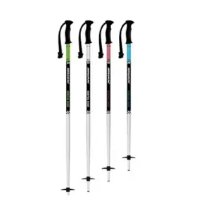 Lyžařské hole pro děti Swix Rental Classic Pole image-0
