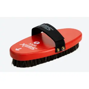 Oval Steel Brush Swix Alpine Racing