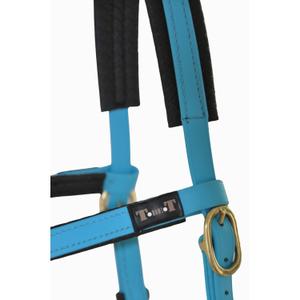 Bridles T de T Sidepull Biotack® image-1