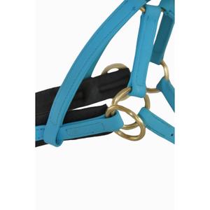 Bridles T de T Sidepull Biotack® image-2
