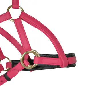 Σχοινιά ιππασίας T de T Sidepull Biotack® image-2