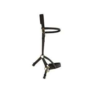 Σχοινιά ιππασίας T de T Sidepull Biotack® image-0