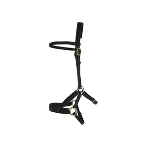 Σχοινιά ιππασίας T de T Sidepull Biotack® image-0