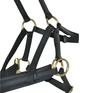 Σχοινιά ιππασίας T de T Sidepull Biotack® image-2