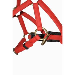 Bridles T de T Sidepull Biotack® image-2