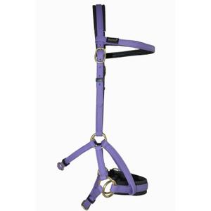 Bridles T de T Sidepull Biotack®