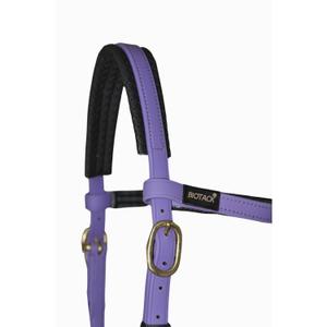 Bridles T de T Sidepull Biotack® image-2