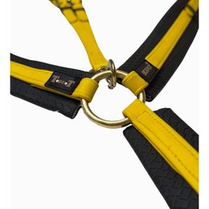 Hunting collar for horse T de T image-1