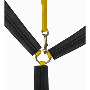 Hunting collar for horse T de T image-2