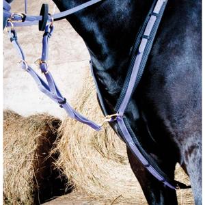 Hunting collar for horse T de T image-4