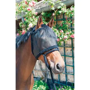 Boné para cavalo de pasto sem orelhas T de T