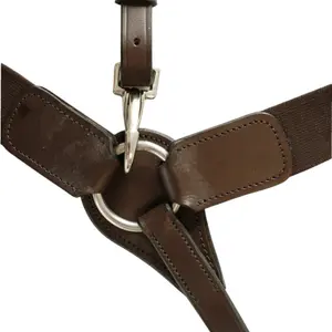 Elastic hunting collar for horse T de T image-1