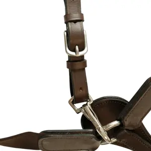 Elastic hunting collar for horse T de T image-2