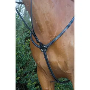 Collier de chasse pour cheval doubléT de T image-0
