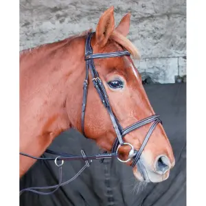 Trense T de T Kessel image-0