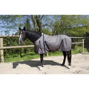 Baumwollhemd für Pferde T de T image-0