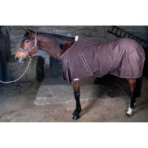 Hemd für Pferd Baumwolle T de T image-0