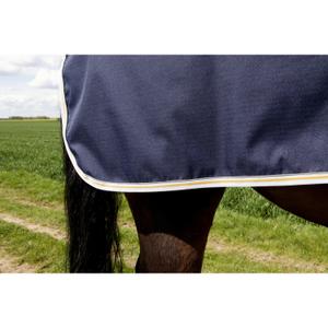 Wasserdichte Nierendecke für Pferde T de T image-2