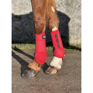 Neoprene horse gaiters T de T image-3