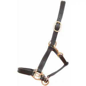 Leather halter for foals or mini horses T de T image-0