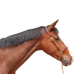 Leather presentation bridle for horse T de T image-0