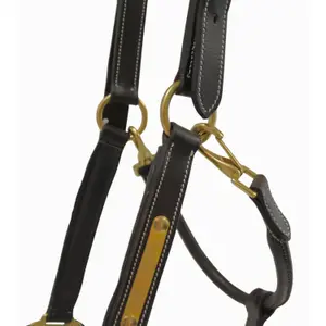 Lædergrime med plade T de T image-1