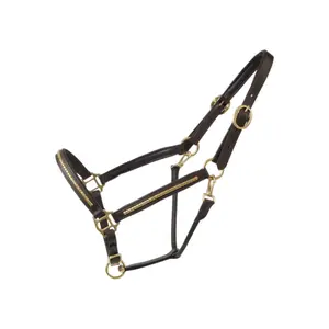 Leather halter for horses T de T Clincher image-0