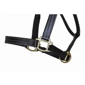 Lædergrime til hest T de T Trippled Stiched image-2