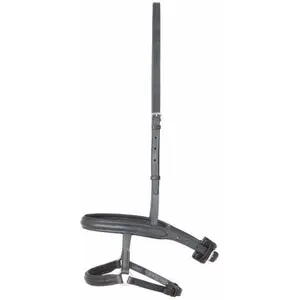 Nosgrimma för blandad fransk/tysk häst T de T