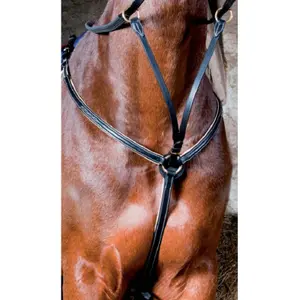 Hunting collar for horse doubledT de T image-1