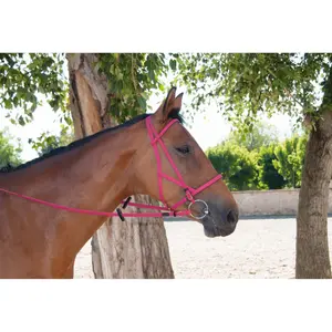 Bridles halter T de T Biotack® image-0