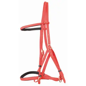 Bridles halter T de T Biotack® image-0