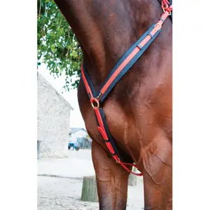Jagdhalsband für Pferde T de T image-0