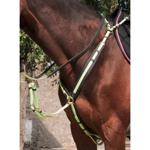 Collier de chasse pour cheval T de T image-0