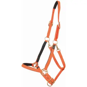 Halter for horse T de T Biotack® image-0
